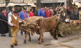 ejemplo de trineo conservado en Asturias